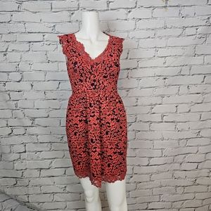 Shoshanna Sierra Red and Navy Lace Dress